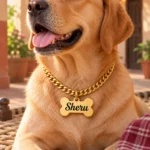 Gold-tone bone shape dog name pendant worn by a dog outdoors