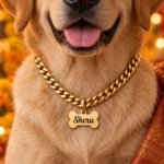 Personalized Bone Shape Dog Name Pendant on a dog styled for a celebration