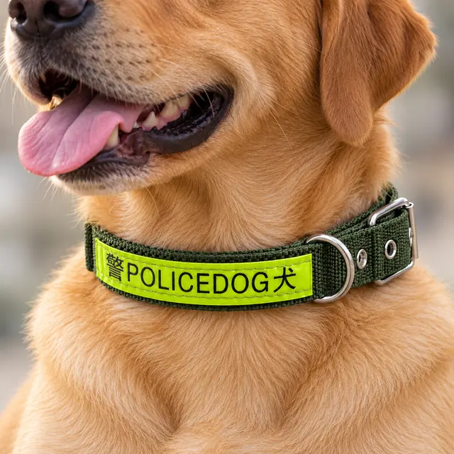 Adjustable Dog Collar